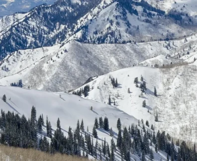 Snow-covered mountains with trees and cloudy sky