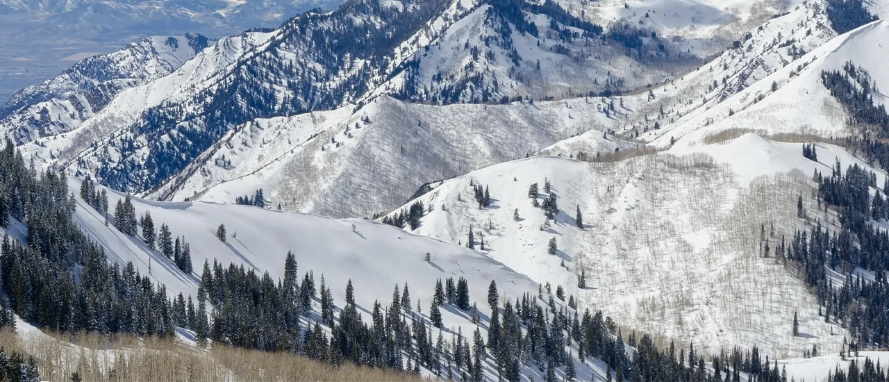 Snow-covered mountains with trees and cloudy sky